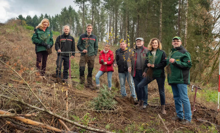 Baumpflanzaktion 2023 Titelbild